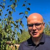 Vučević