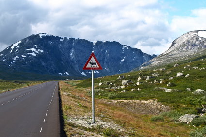 Norwegia pokazuje potęgę natury. Niezwykły kraj fiordów otoczonych wysokimi górami i lodowcami [GALERIA]