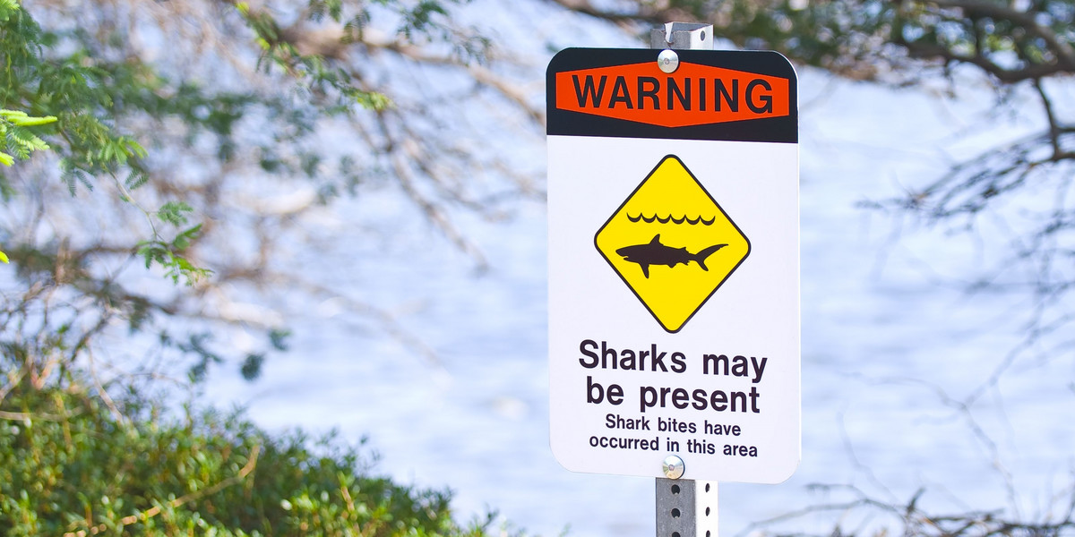 Plaża, rekin, ostrzeżenie, znak