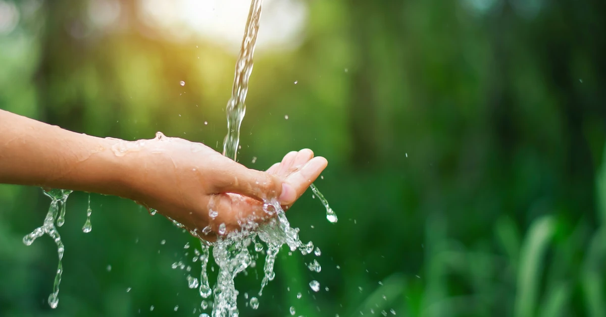 QUIZ: TY vs. BIOLOGIA. Tak czy nie? Pamiętasz? Czy musisz wrócić do szkoły? Sprawdź!