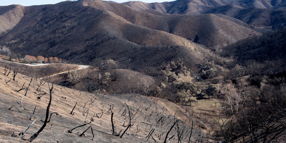 Ekstremalne zjawiska pogodowe związane ze zmianą klimatu mogą prowadzić do większych emisji CO2 do atmosfery, a to będzie wspierało proces globalnego ocieplenia - wskazuje ekspert BP.