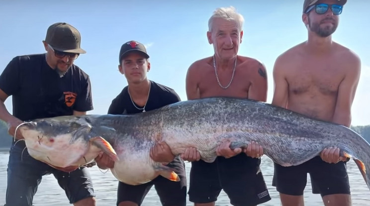 A gigantikus harcsa 83 kg-ot nyomott / Fotó: Facebook