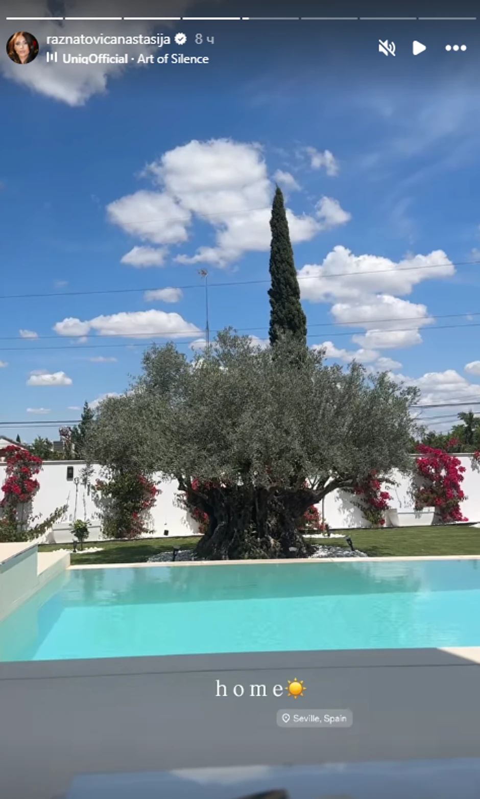 Dvorište Anastasije Ražnatović