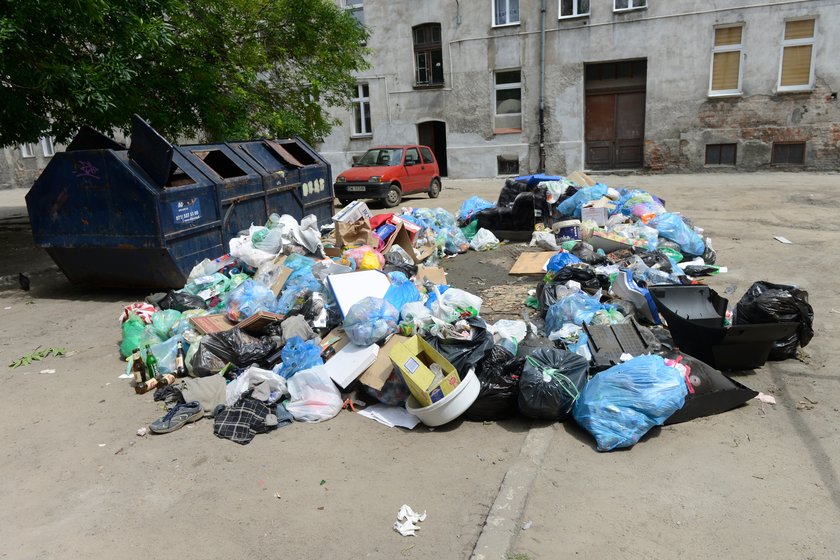 Podwórko między Myśliwską, Trzebnicką a Jagiellończyka we Wrocławiu tonie w śmieciach