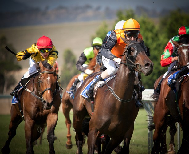 <b>Miejsce 7. Dubai World Cup Night - wyścigi konne</b>
<br>
Nagroda: 10 milionów dolarów
<br><br>
Dubai World Cup Night to seria ośmiu prestiżowych wyścigów zakończona finałem, którego zwycięzca zgarnia okrągłą sumę 10 milionów dolarów.