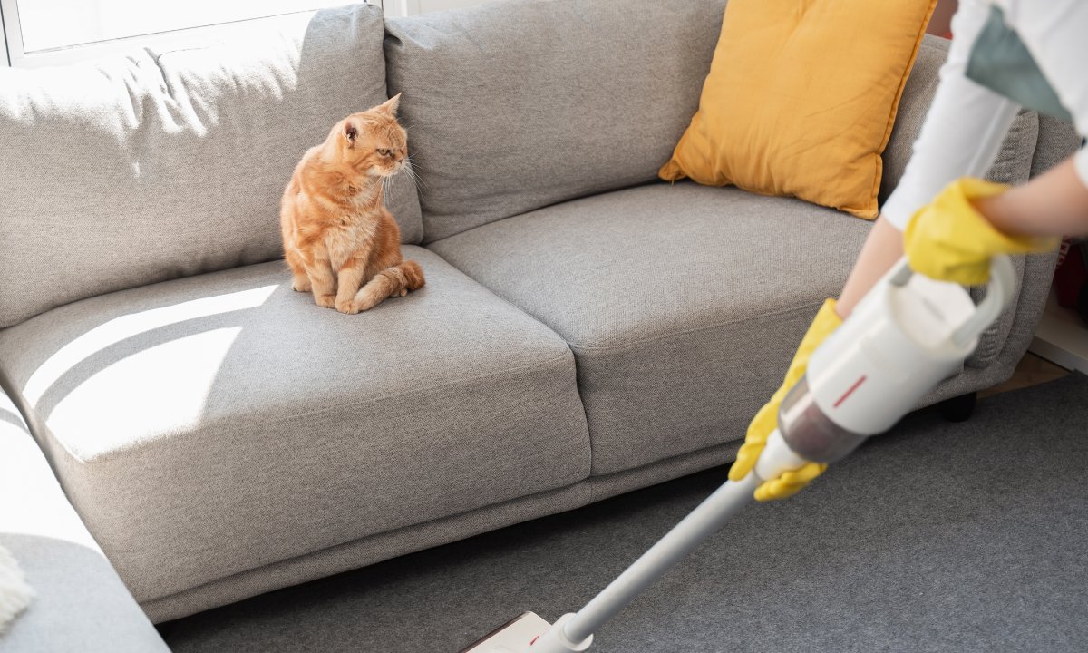 Te 3 odkurzacze wciągną każdy brud! Niestraszna im sierść, włosy ani błoto!