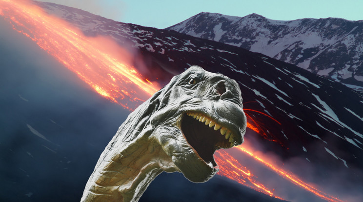 A dinoszauruszok kihalása valószínűleg nem egyetlen esemény következménye, és nem is rövid idő alatt következett be. A hatalmas vulkánkitörések által kibocsátott gázok miatt lehűlő klíma lassan pusztíthatta el az óriások életfeltételeit és vezetett a kihalásukhoz. / Fotó: NorthFoto
