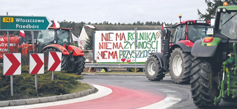 Afera zbożowa. Spór o interesy polskich rolników i ukraińskich eksporterów