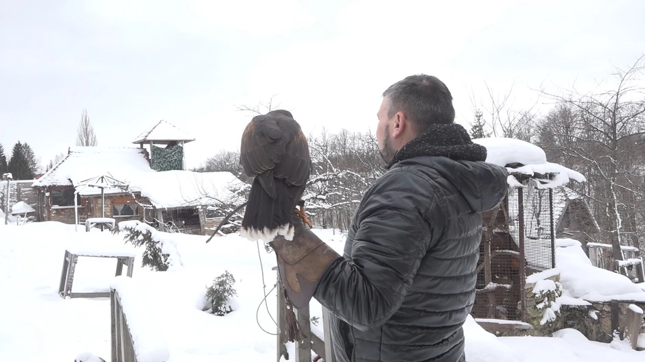 Vladimir Ilić iz Stapara 