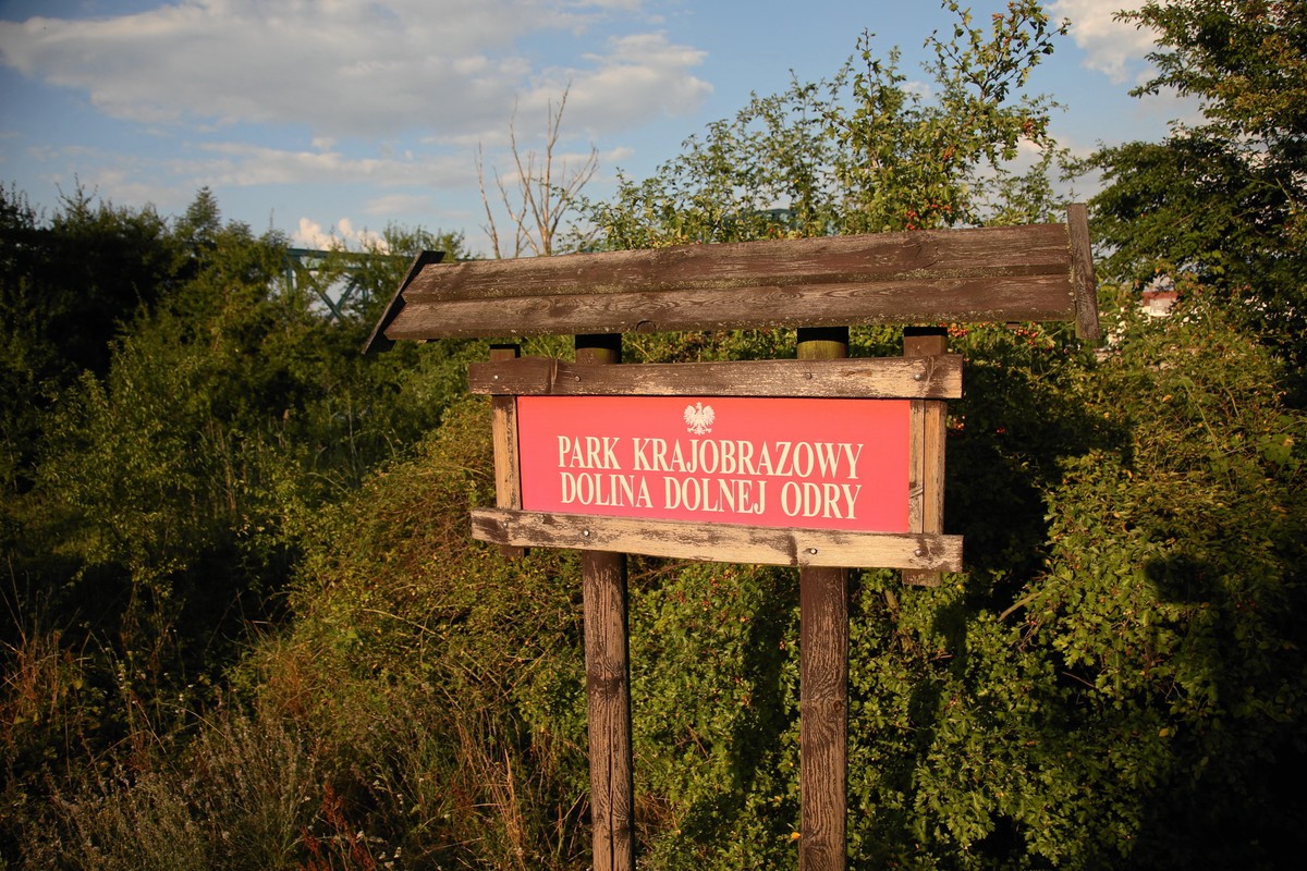Park narodowy zostanie powołany na miejsce parku krajobrazowego Doliny Dolnej Odry