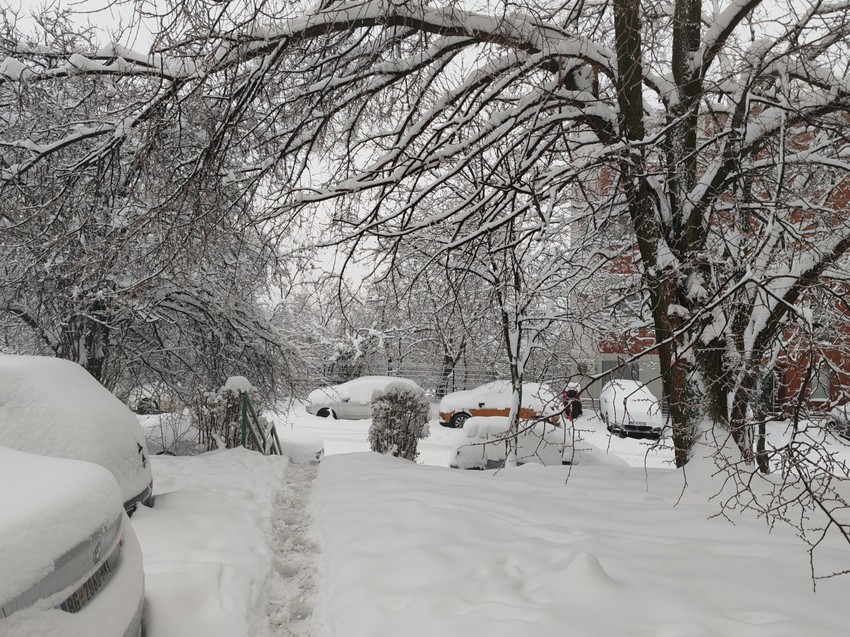 Košutnjak pod snegom
