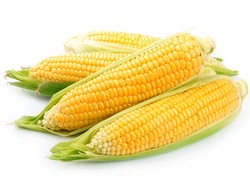 Polscy naukowcy opracowują materiał z roślin, który mógłby zastąpić plastik