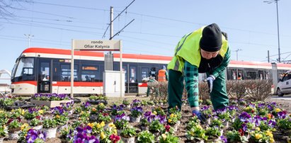 Gdańsk stroi się na wiosnę!