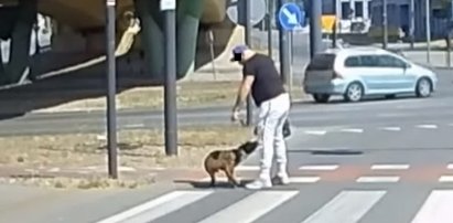 Skopał psa na środku ulicy. Szokujące nagranie trafiło do sieci