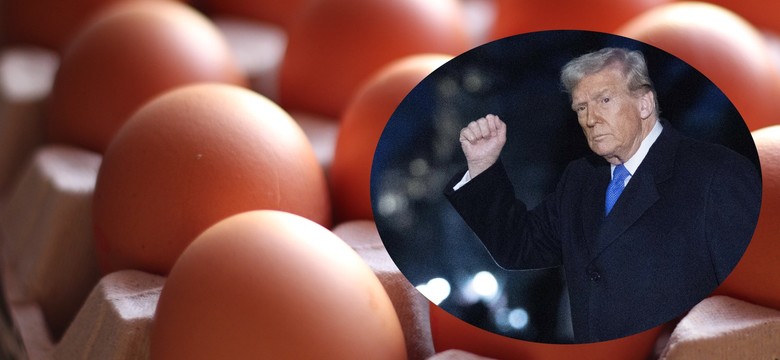 Ceny jajek wystrzeliły w górę. Rośnie przemyt, końca kryzysu nie widać