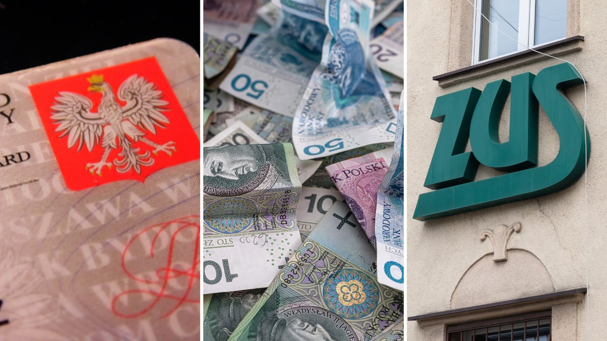 Wiesz, co mówią do ciebie urzędnicy? Sprawdź, czy odnajdujesz się w dorosłości