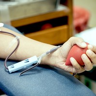 Hogy kerül a levett vér a műtőbe? - megnéztük