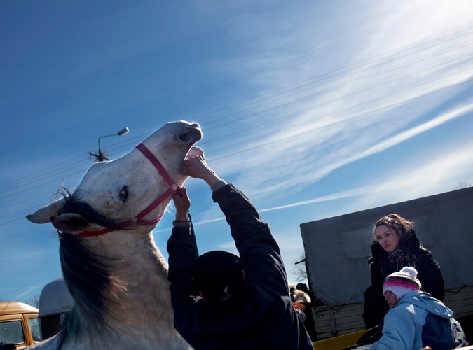 Juz poraz 366 w Skaryszewie odbyły się wstepy czyli targ koni