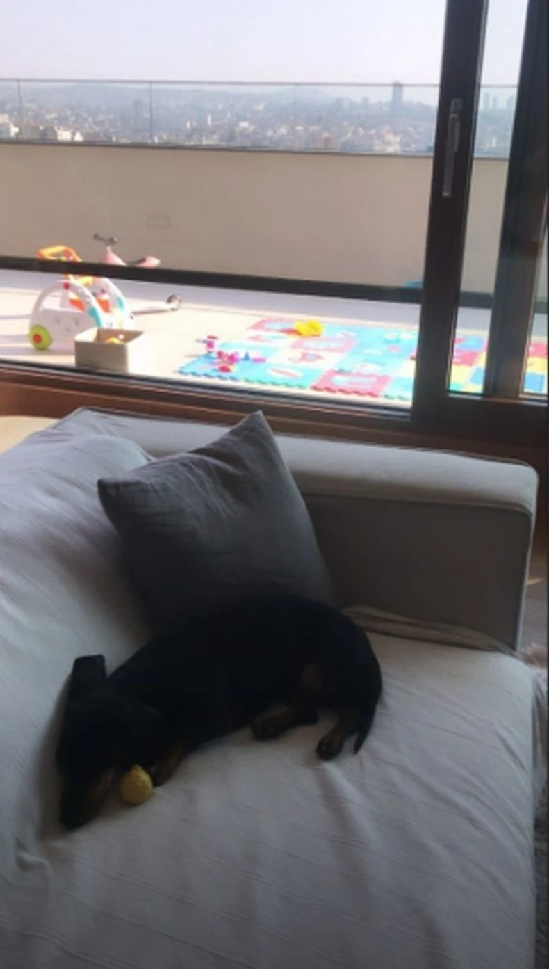 Jelisaveta Orašanin