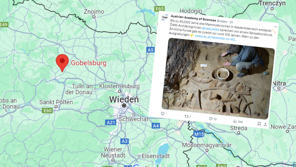 Wyjątkowe odkrycie w Austrii. Kości liczą aż 40 tys. lat