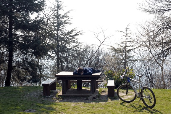 SUŠI SE ŠUMA NA AVALI! Dva su ključna razloga, "Srbijašume" preduzimaju HITNE MERE: "Ovo je značajno oštećenje šumskih ekosistema"