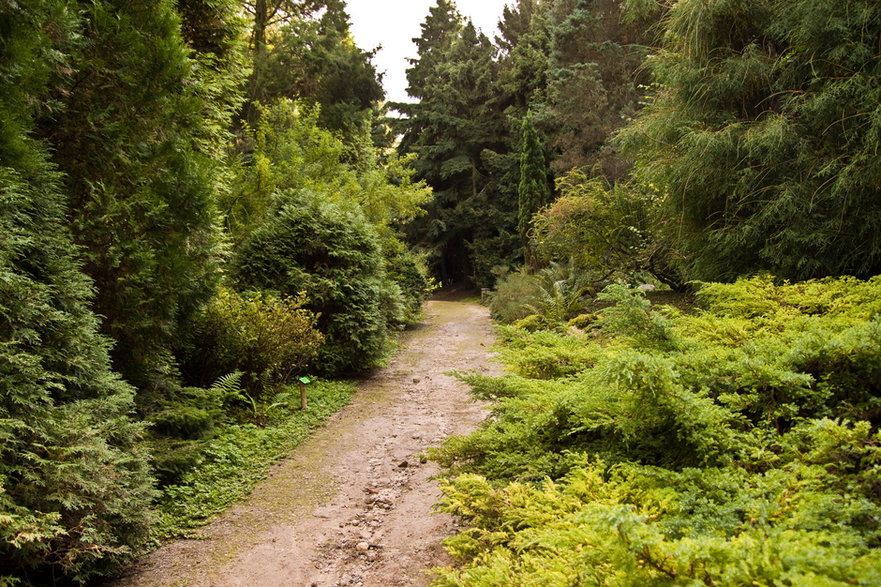 Ogród dendrologiczny, Przelewice