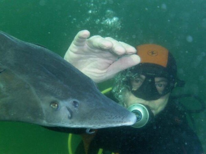 Poseł PO Adam Szejnfeld