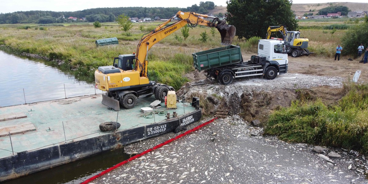 Dead fish in Poland's Oder river approach the sea