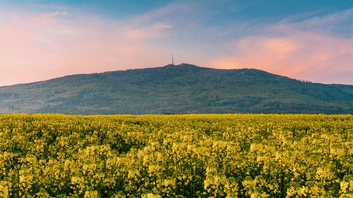 Góra Ślęża - ciekawostki, tajemnice, co zobaczyć, zwiedzanie i przewodnik