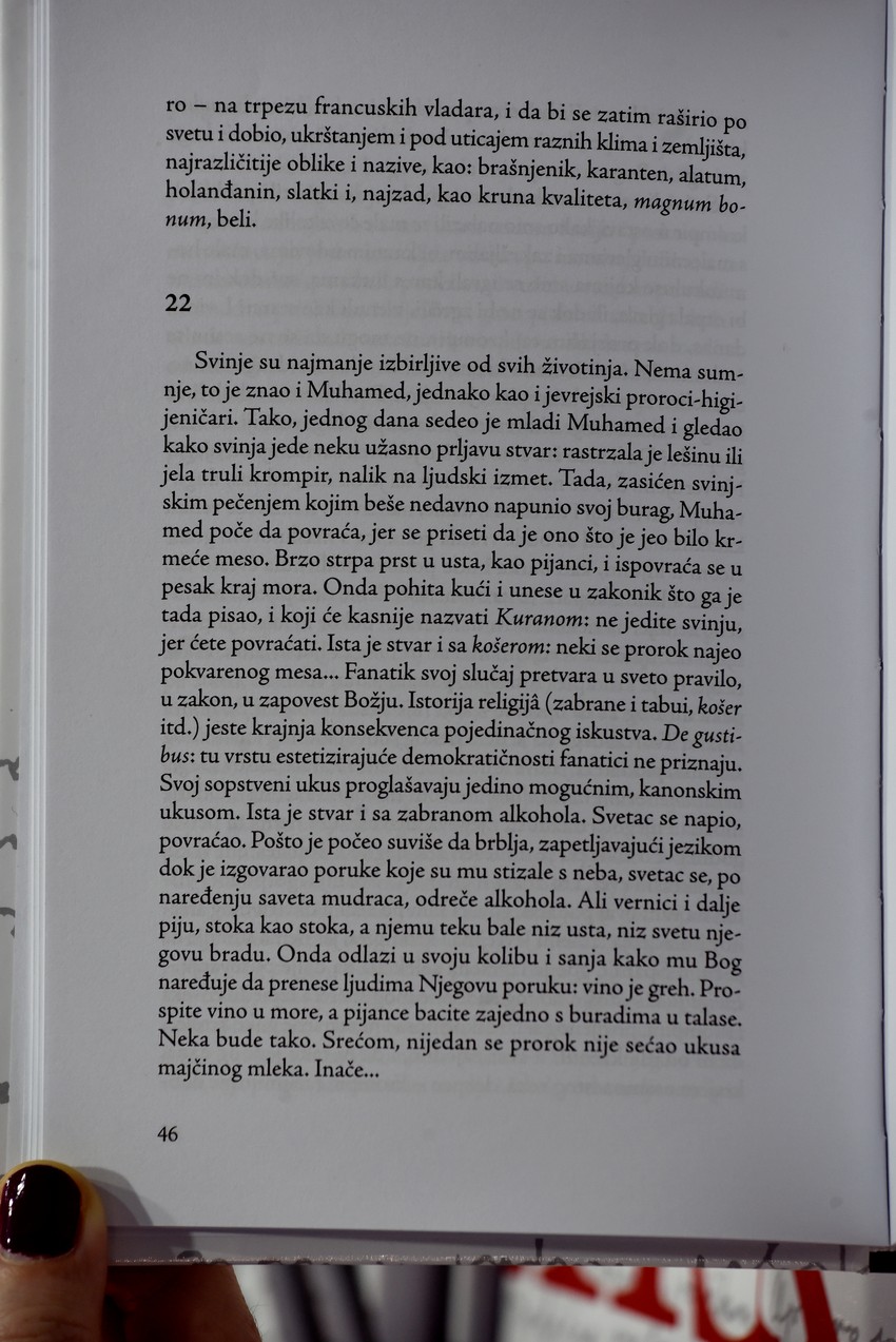 Strana iz knjige Peščanik koja bi mogla da bude "sporna" bošnjačkim organizacijama