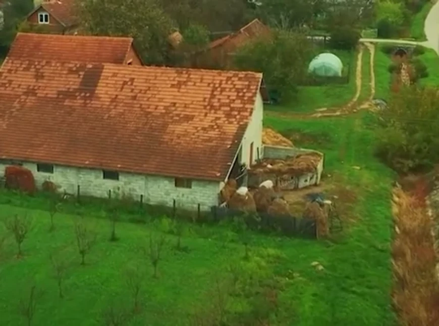 Miroslav Ilić (Foto: Screenshot TV Blic)