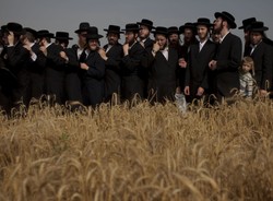 Żydzi rozpoczęli żniwa. Zobacz, jak witają wiosnę