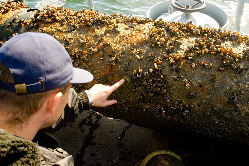 Trzy torpedy w Bałtyku