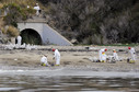 Crews clean the beach near Refugio State Beach on the Californian coast in Goleta