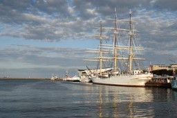 „Tango” Mrożka zagości na żaglowcu „Dar Pomorza”