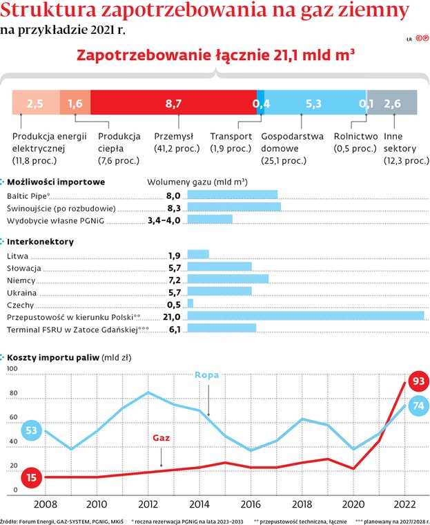 Struktura zapotrzebowania na gaz ziemny