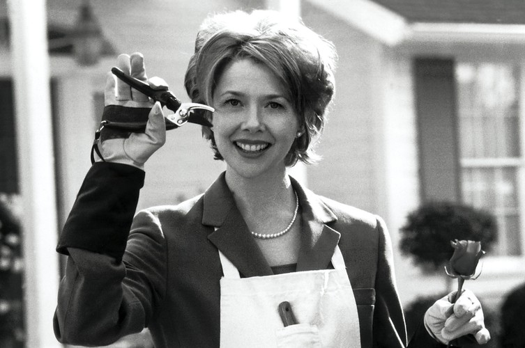 7. 'American Beauty' (Burnhamowie)