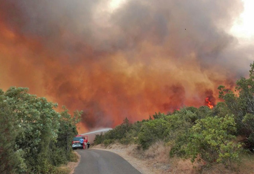 Bukti nekoliko požara na poluostrvu Luštica (Foto: Radio Jadran/S. Kosić)