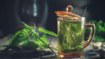 There are quite a lot of benefits from drinking nettle tea [Shutterstock]