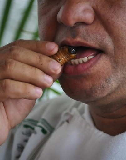 VENEZUELA - GASTRONOMY - MENDEZ - SPIDER