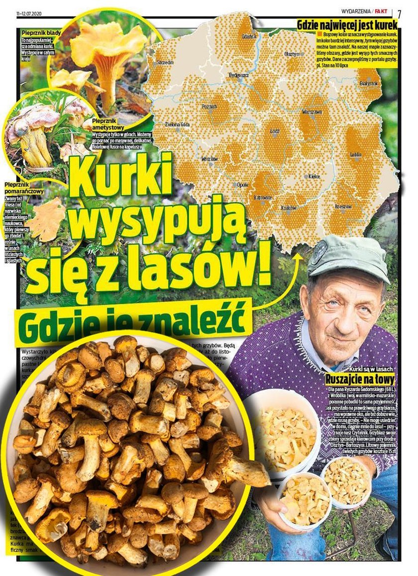 Kurki wysypują się z lasów. Gdzie je znaleźć?