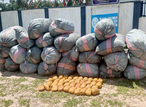 Puff, puff, pass — Customs hands over 120 bags of weed to NDLEA