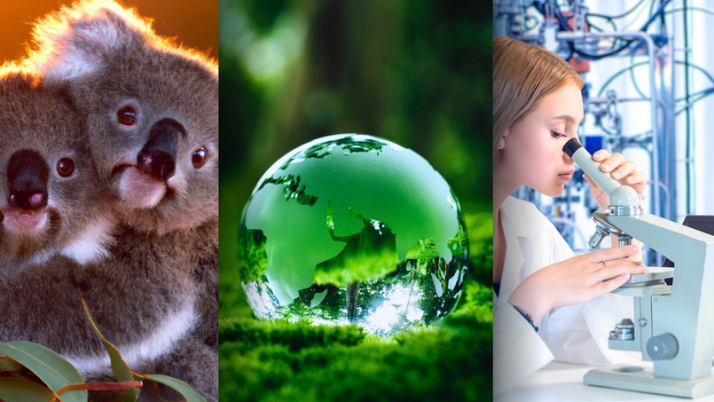 quiz biologia przyroda z biologii przyrody biologiczny przyrodniczy Justyna P