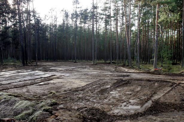 Kasacja w sprawie katastrofy lotniczej pod Mirosławcem oddalona