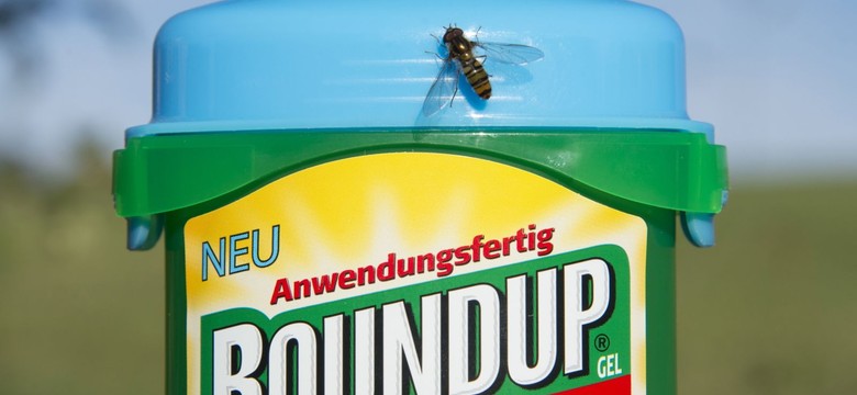 Historyczny wyrok. Producent popularnego środka na chwasty zapłaci rekordowe odszkodowanie ogrodnikowi choremu na raka