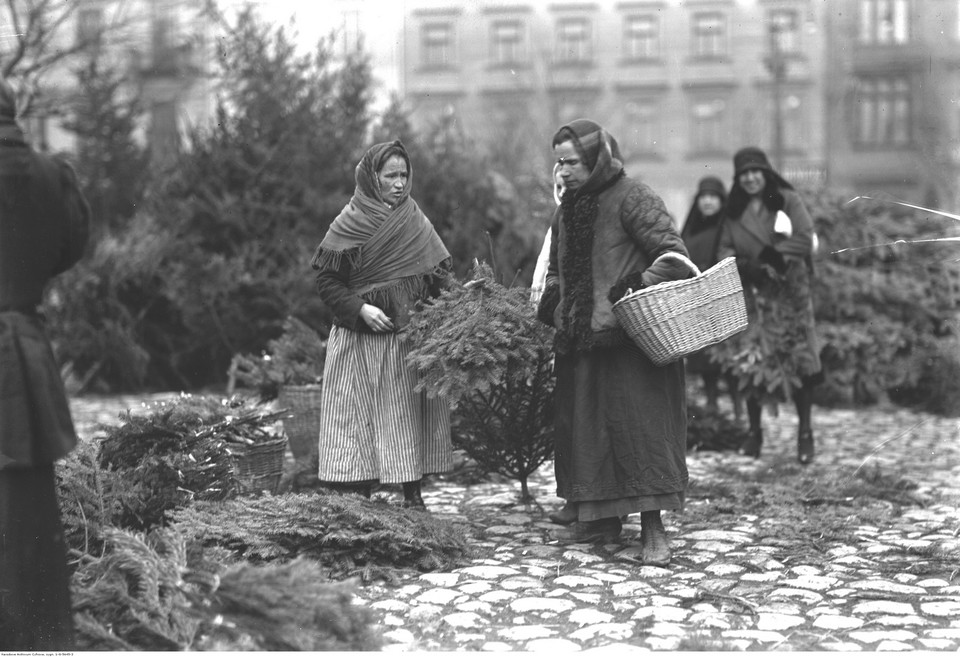 Sprzedaż choinek i gałązek choinkowych w Krakowie (1927 r.)