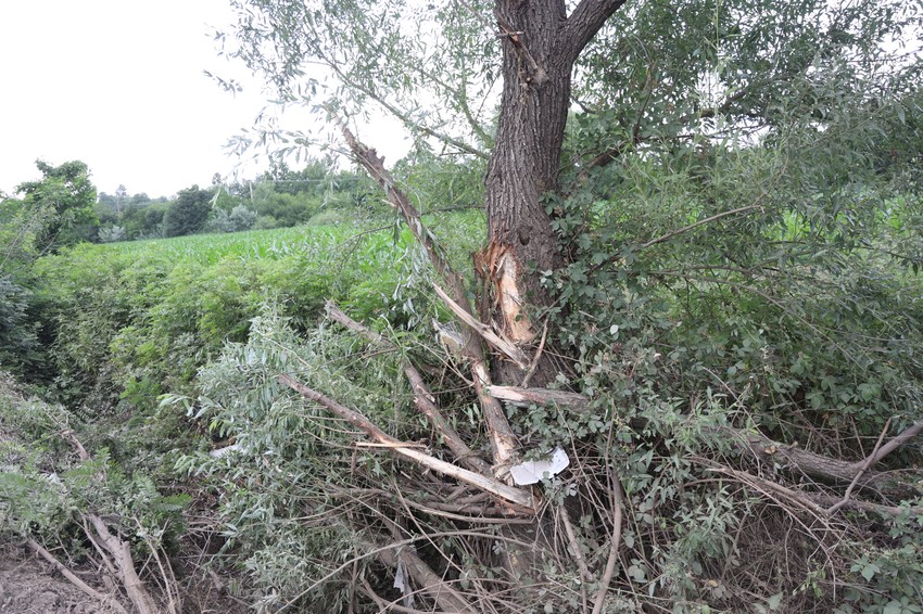 Ceroviti potok, Mali Crljani, autobus sletio s puta