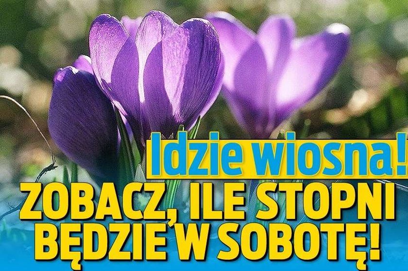 Idzie wiosna! Zobacz, ile stopni będzie w sobotę!