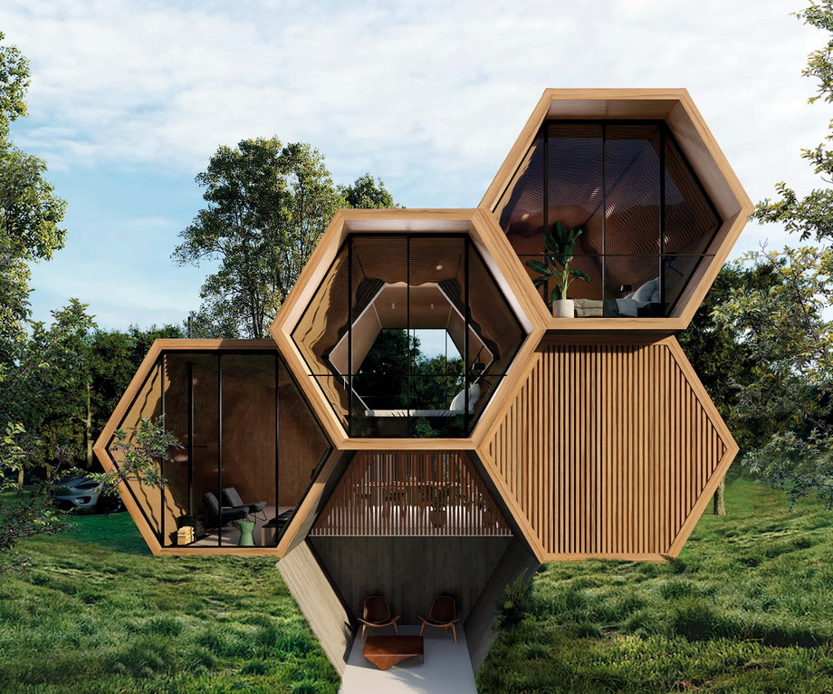 Zrównoważony dom z ulem w lesie deszczowym stworzony przez Estebana A. Airbnb
