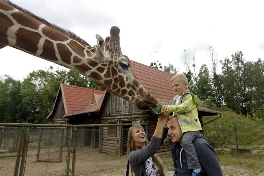 Zoo w Gdańsku spełniło marzenie chłopca